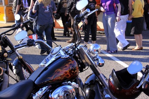 Harley days 2010   030.jpg